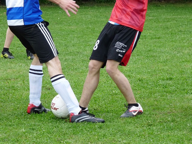 對抗能力和 對抗能力和