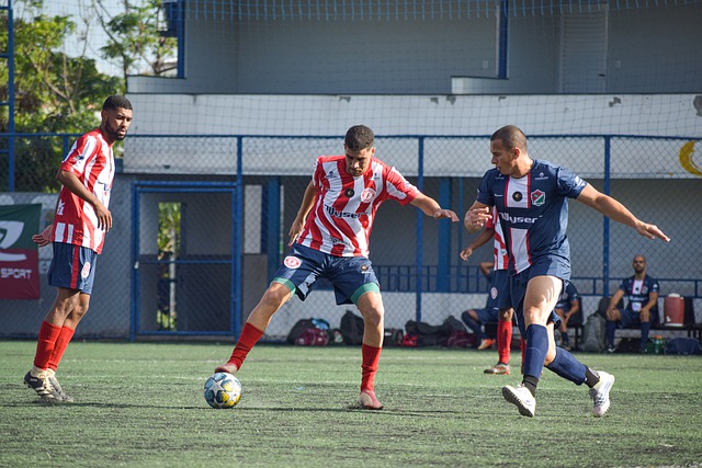 享会上提供 享会上提供