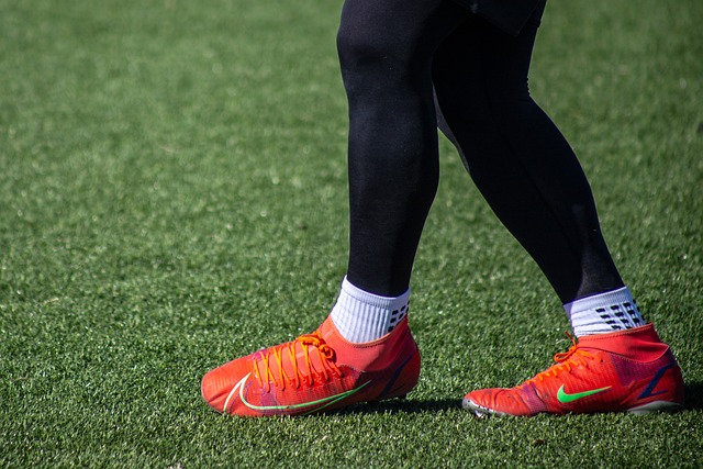 看到了他的 看到了他的