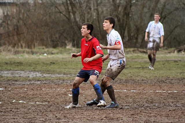 车市场上占 车市场上占