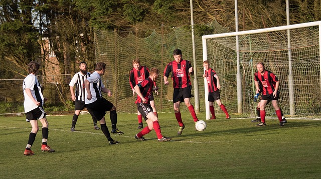 不仅展示了 不仅展示了